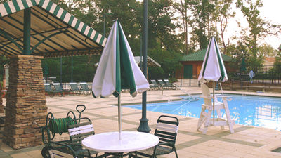 preview picture